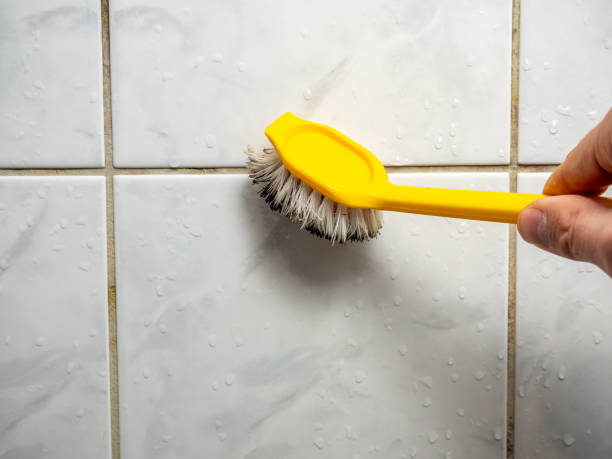Best Industrial Mold Remediation in Waltham, MA