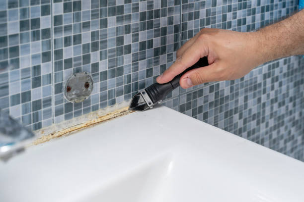 Best Health and Safety Mold Remediation in Waltham, MA